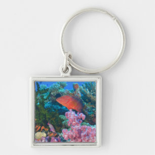 schooling Fairy Basslets  (Pseudanthias Key Ring