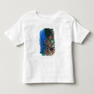 Schooling Fairy Basslets (Pseudanthias Toddler T-Shirt