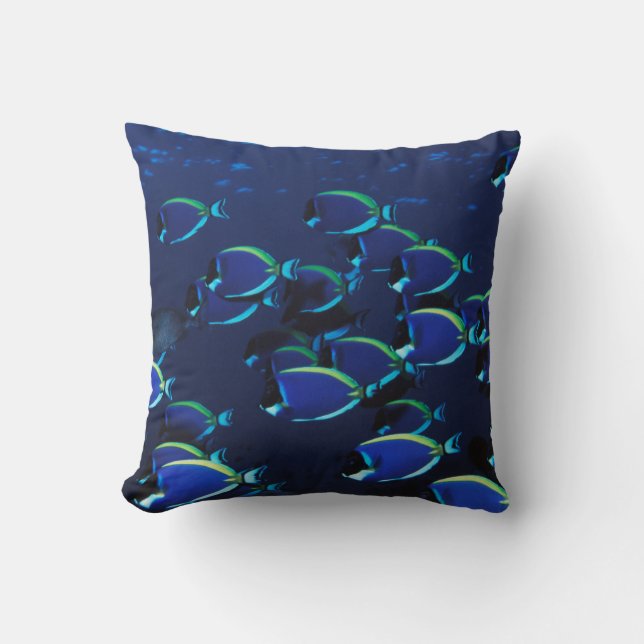 Schooling Powder Blue Surgeonfish Cushion (Front)