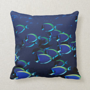 Schooling Powder Blue Surgeonfish Cushion