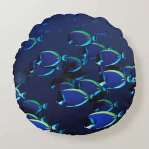 Schooling Powder Blue Surgeonfish Round Cushion