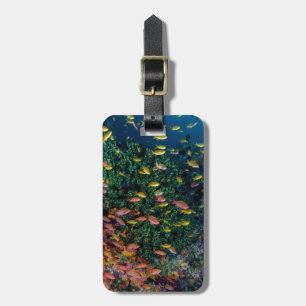 Schools of Fish Swim in Reef Luggage Tag