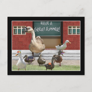 School's Out, Little Ducklings with Teacher Goose Postcard