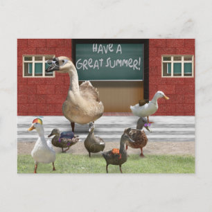 School's Out, Little Ducklings with Teacher Goose Postcard