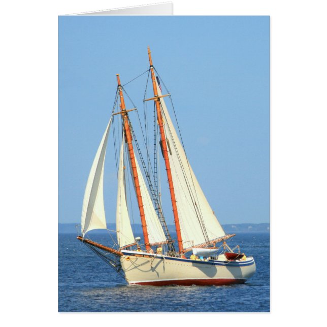 schooner sailing (Front)
