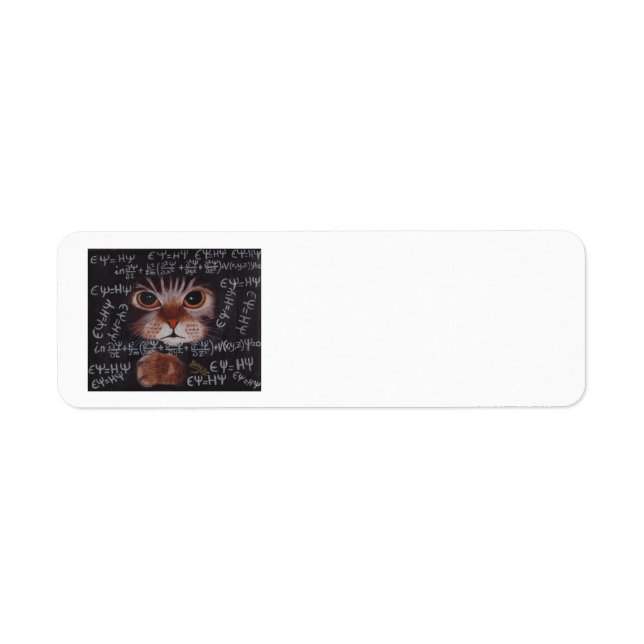 SCHRÖDINGER CAT (Front)
