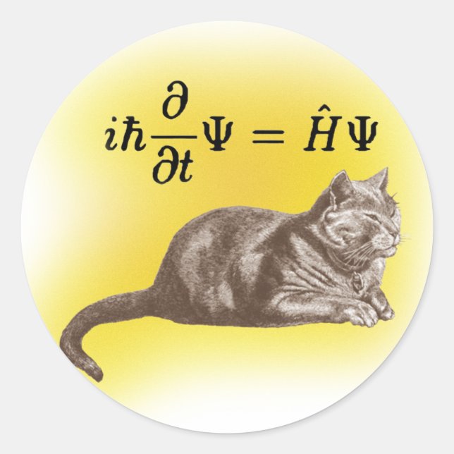 Schrodinger cat classic round sticker (Front)