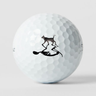 Schrodinger Cat Titliest Pro 3-pack  Golf Balls