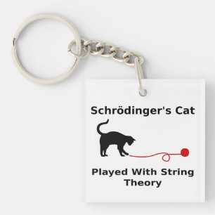 Schrödinger’s Cat Played With String Theory Key Ring