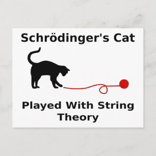 Schrödinger’s Cat Played With String Theory Postcard
