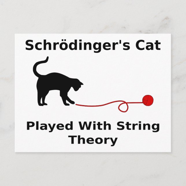 Schrödinger’s Cat Played With String Theory Postcard (Front)