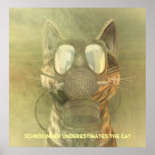Schrödinger underestimates the cat poster
