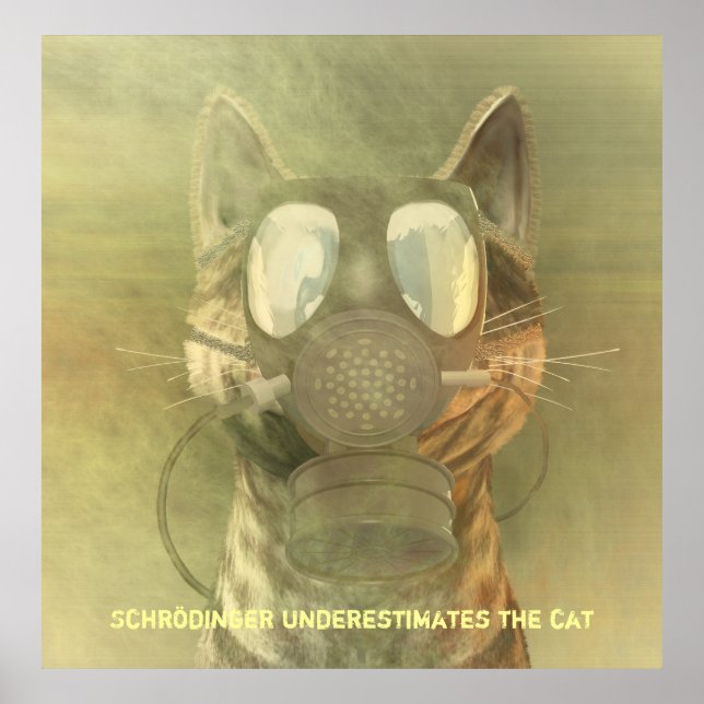 Schrödinger underestimates the cat poster (Front)