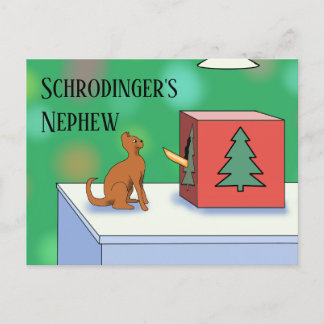 Schrodinger's Cat and Nephew Christmas Postcard