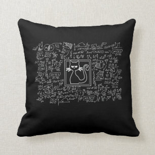 Schrodingers Cat Box Funny Science Nerd Physics Cushion