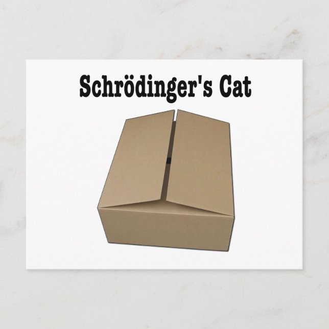 Schrodinger's Cat Box Postcard (Front)