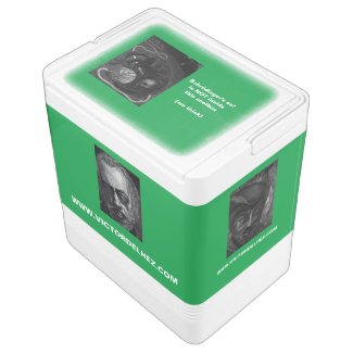 Schrödinger's cat Igloo coolbox (green) Igloo Cool Box