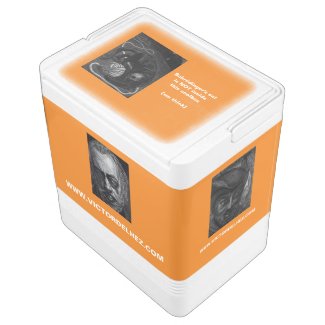 Schrödinger's cat Igloo coolbox (orange) Igloo Cool Box