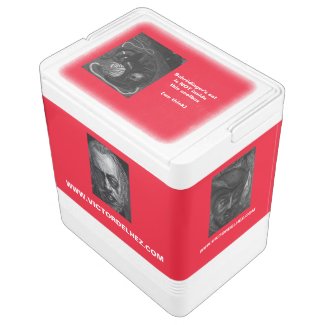 Schrödinger's cat Igloo coolbox (red) Igloo Cool Box