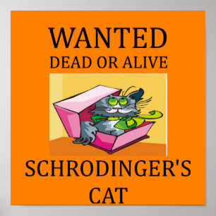schrodinger's cat joke poster