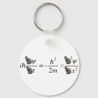 Schrodinger's cat key ring