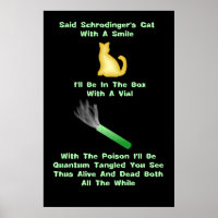 Schrodinger's Cat Limerick