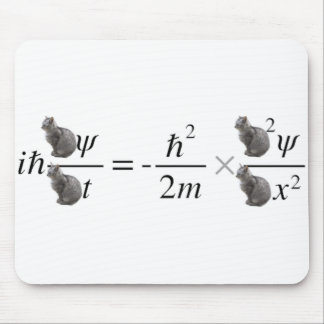 Schrodinger's cat mouse mat