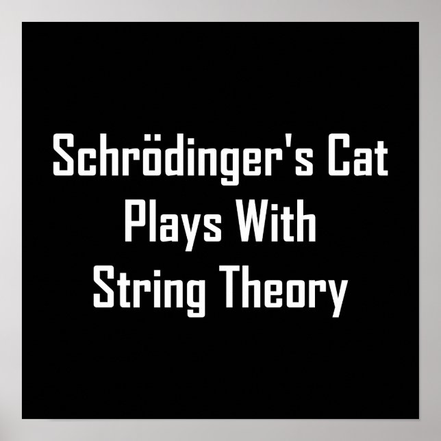 Schrodinger's Cat Plays With String Theory Poster (Front)