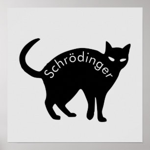 Schrödinger's cat poster