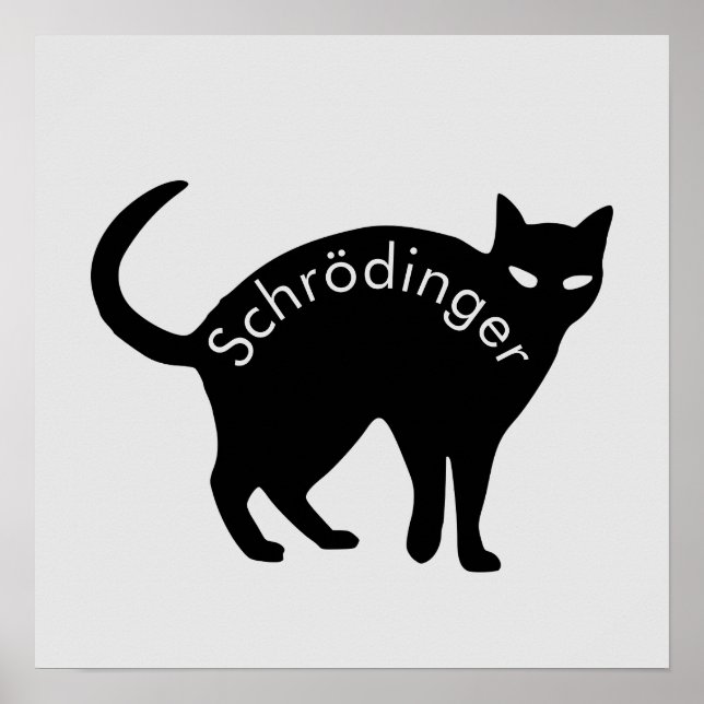Schrödinger's cat poster (Front)