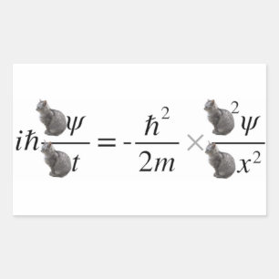 Schrodinger's cat rectangular sticker