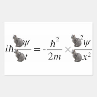 Schrodinger's cat rectangular sticker