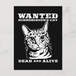 Schrodinger's cat wanted dead or alive postcard