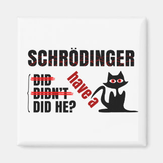 Schrodinger's Dillema Magnet