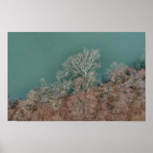 Schuylkill River Trees Sanatoga Poster