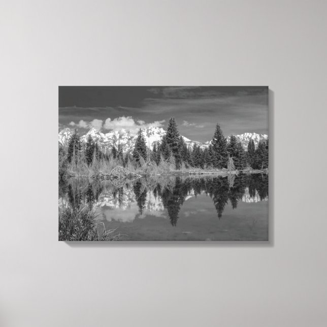 Schwabacher Landing Canvas Print (Front)