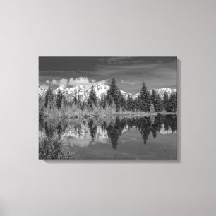 Schwabacher Landing Canvas Print