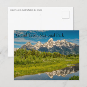 Schwabacher Landing Grand Teton National Park Holiday Postcard