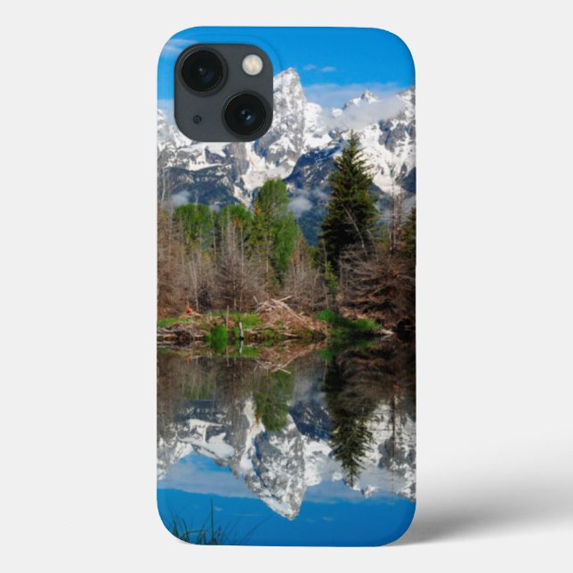 Schwabacher's Landing, Grand Teton Case-Mate iPhone Case (Back)