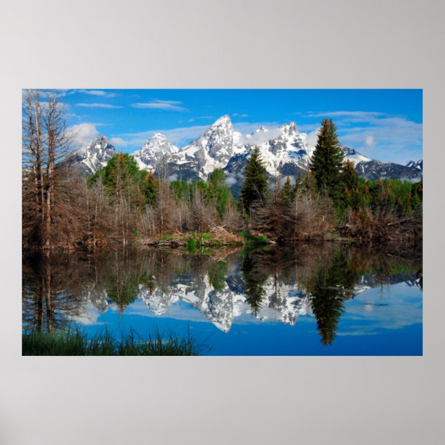 Schwabacher's Landing, Grand Teton Poster (Front)