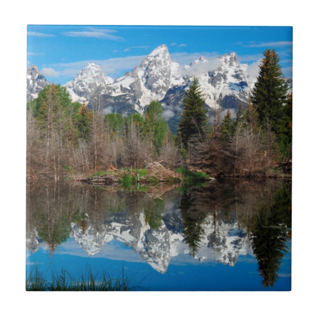 Schwabacher's Landing, Grand Teton Tile (Front)