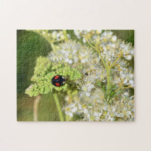 Schwarzer Marienkäfer Jigsaw Puzzle