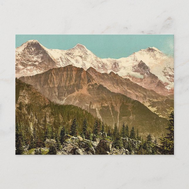 Schynige Platte, Eiger, Monch and Jungfrau, Bernes Postcard (Front)