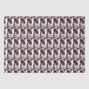 Sci-Fi "Lunar Landscape" the man in the moon       Tissue Paper