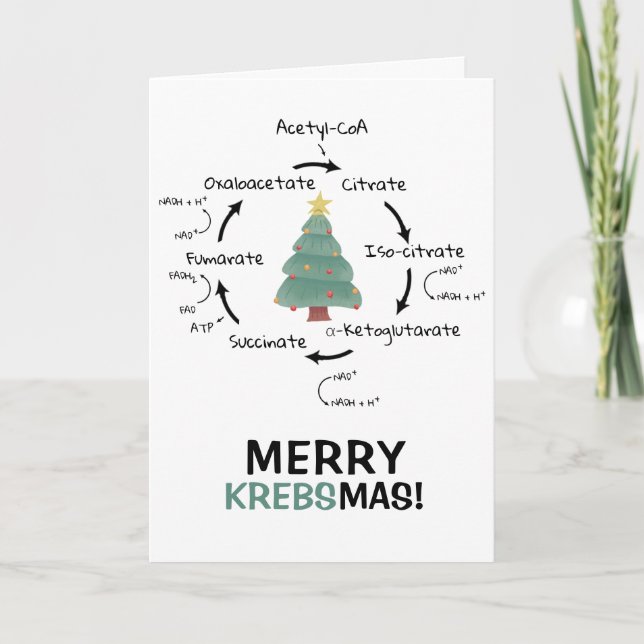 Science Biology Kreb's Cycle Christmas Teacher  Holiday Card (Front)
