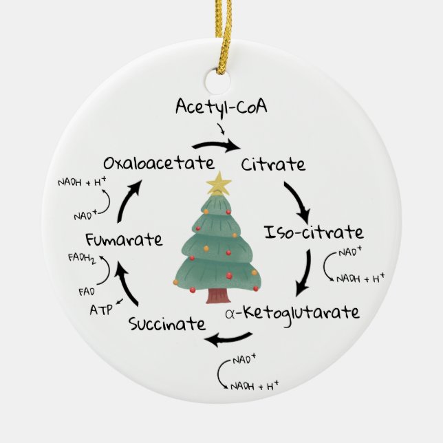 Science Biology Krebs Cycle Christmas Teacher Name Ceramic Tree Decoration (Front)
