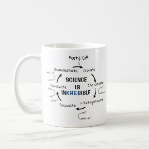 Science Biology Kreb's Cycle Funny Teacher Coffee Mug