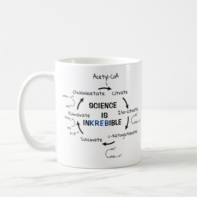 Science Biology Kreb's Cycle Funny Teacher Coffee Mug (Left)