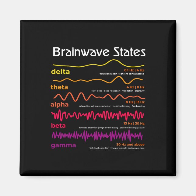 Science Brain Waves Definition Neuroscience School Magnet (Front)