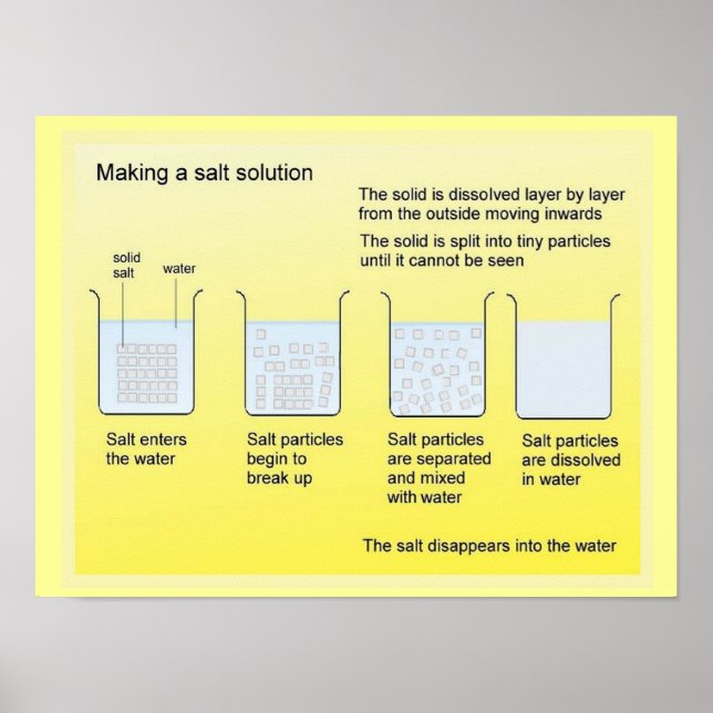 Science, Chemistry, Making a salt solution Poster (Front)